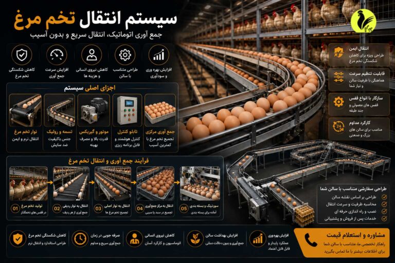 سیستم انتقال تخم مرغ
